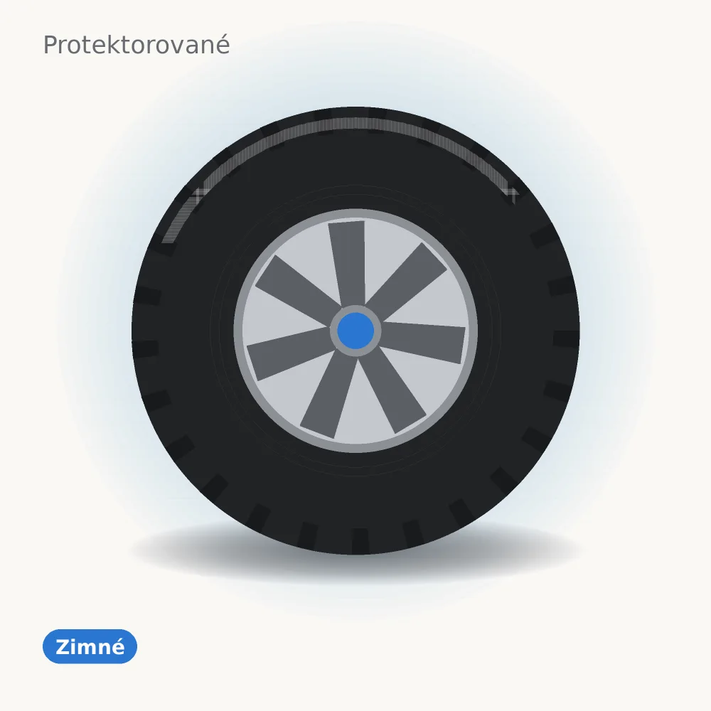 Protektor PRO SNOW WEATHER 245/45 R19 102V XL