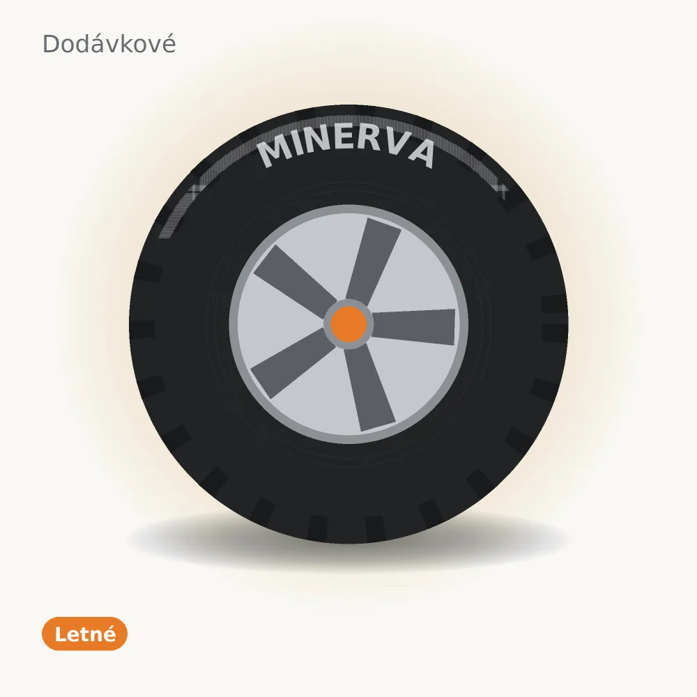 Minerva Transport RF19 225/70 R15 112S