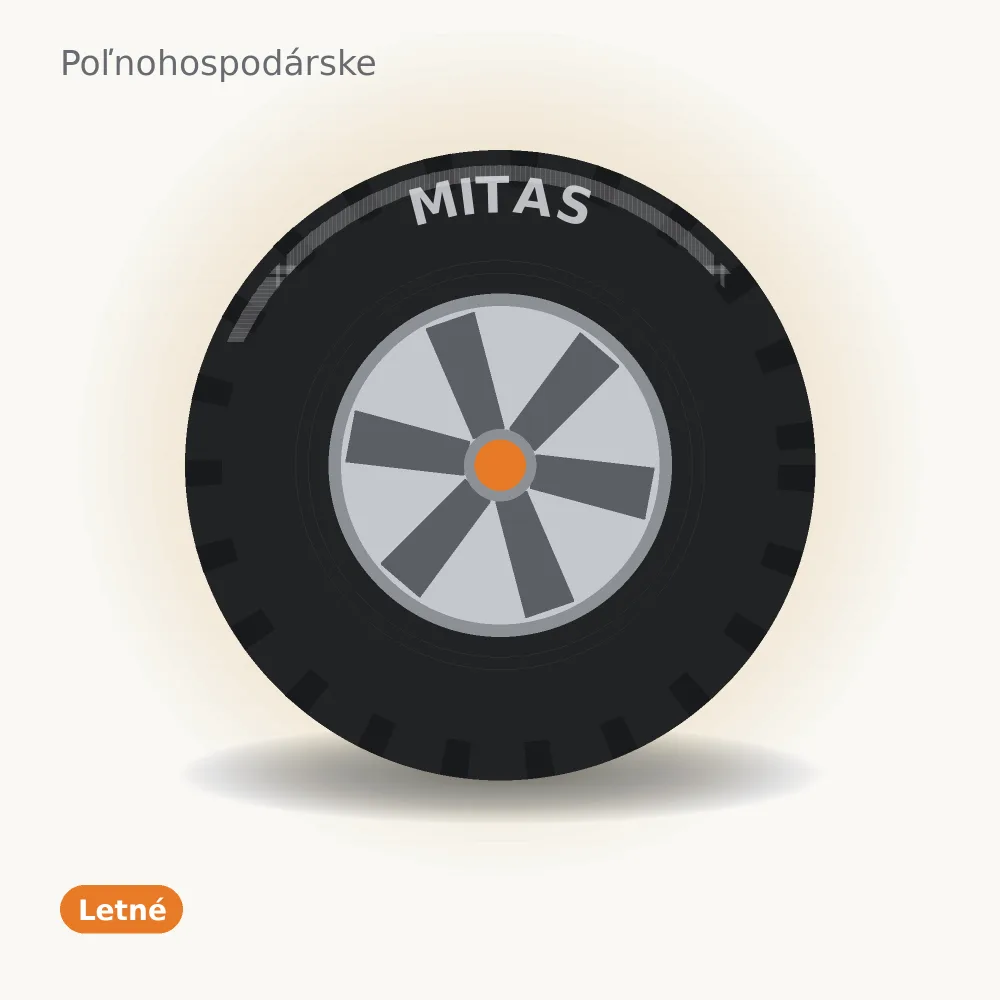 Mitas B19 6PR TL/TT 15x6.00-6