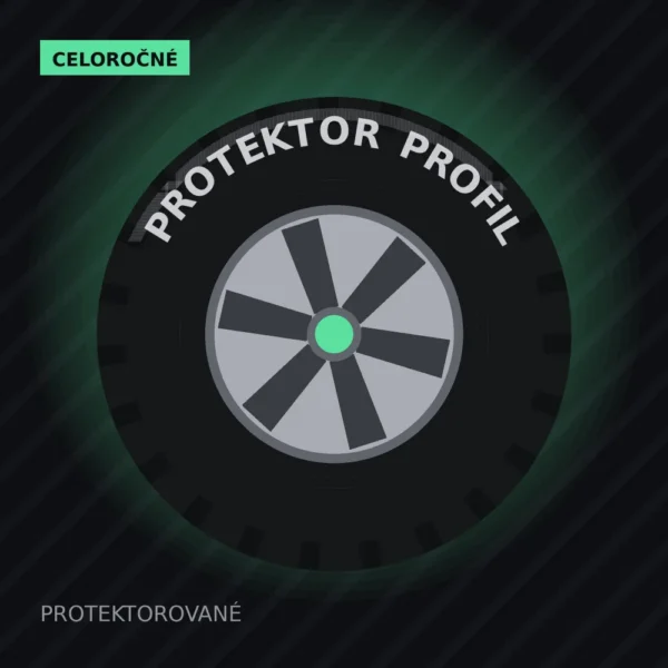 Protektor WINTERMAXX TYPE ALL SEASON 195/55 R15 85H