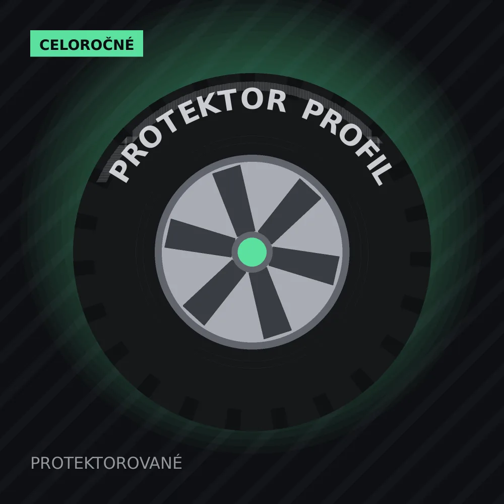Protektor PS 790 TYPE ALL SEASON 205/55 R17 91H