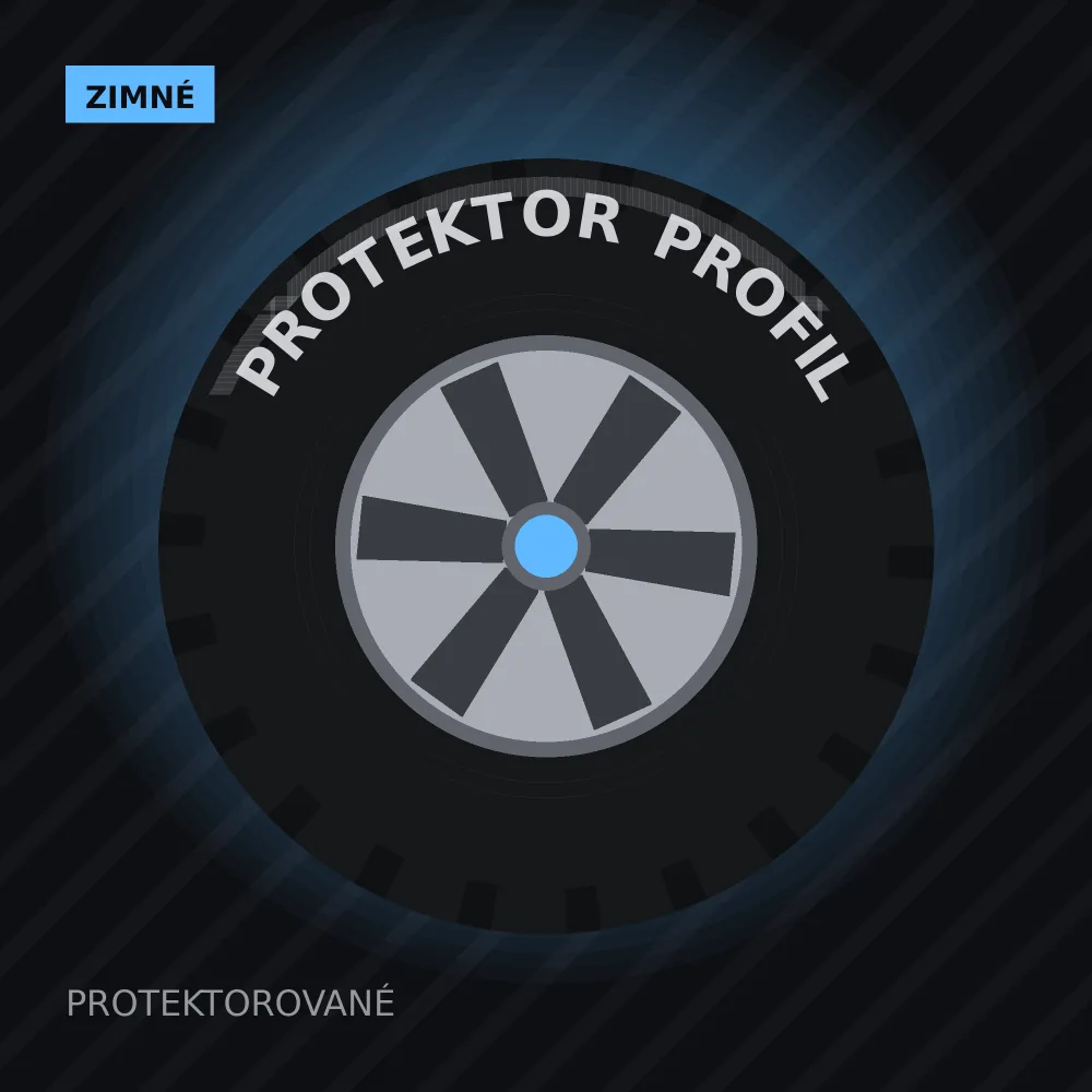 Protektor PRO SNOW 780 175/60 R15 81T