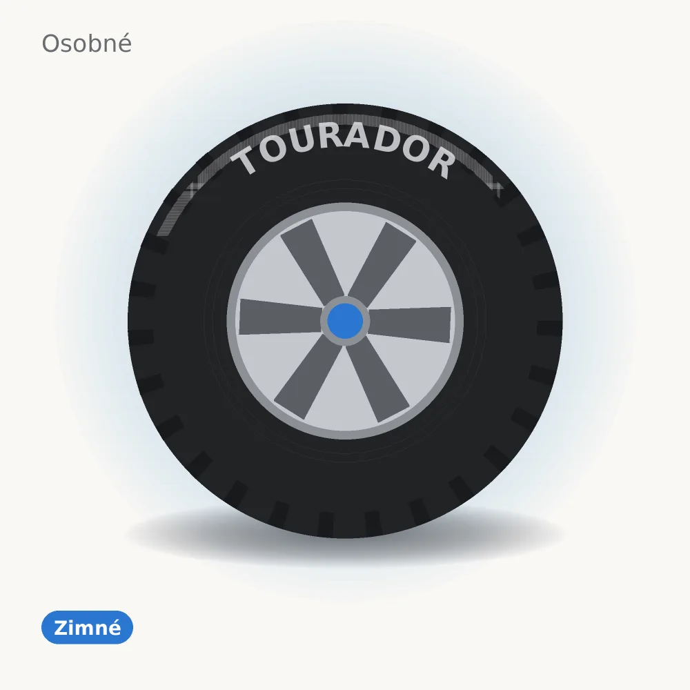 TOURADOR WINTER PRO TSU1 275/40 R20 106V XL