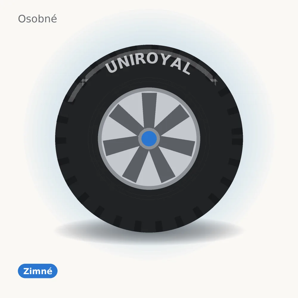 Uniroyal WINTEREXPERT 255/45 R19 104V XL